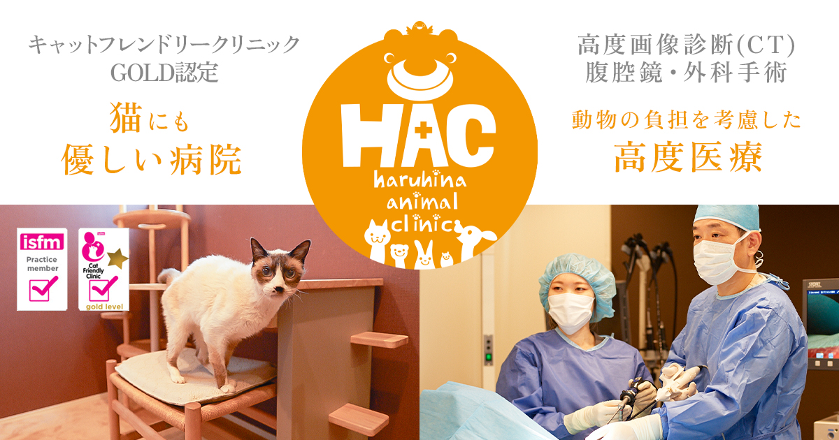 骨・関節・筋肉の疾患 | はるひな動物病院｜犬・猫・ウサギ